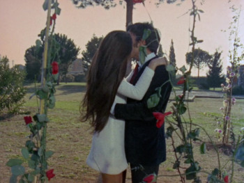 Il ragazzo che sorride (1969) download