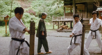 Black Belt (2007) download