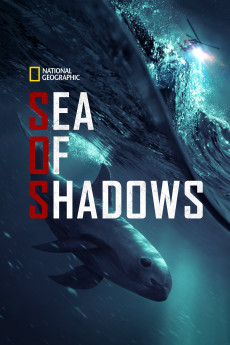 Sea of Shadows (2022) download