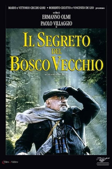 Il segreto del bosco vecchio (2022) download