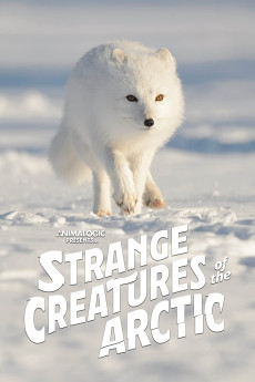 Strange Creatures of the Arctic (2022) download