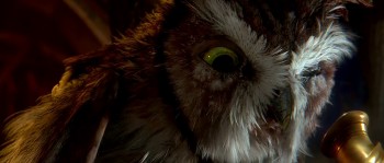 Legend of the Guardians: The Owls of Ga'Hoole (2010) download