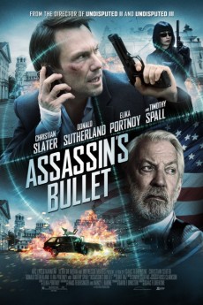 Assassin's Bullet (2012) download