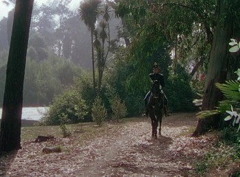 Seminole (1953) download