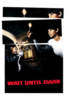 Wait Until Dark (2022) download