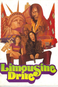 Limousine Drive (2022) download