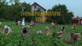 Rasmus på luffen (1981) download