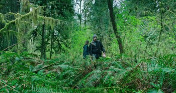 Leave No Trace (2018) download