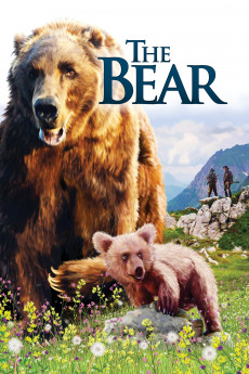 The Bear (2022) download