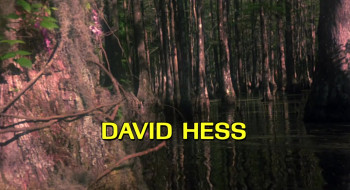 Swamp Thing (1982) download