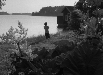 Kvinnors väntan (1952) download