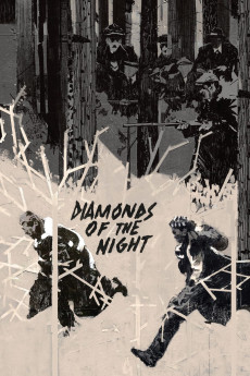 Diamonds of the Night (1964) download