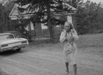 Night of the Living Dead (1968) download