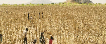 The Boy Who Harnessed the Wind (2019) download