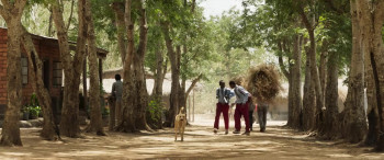 The Boy Who Harnessed the Wind (2019) download